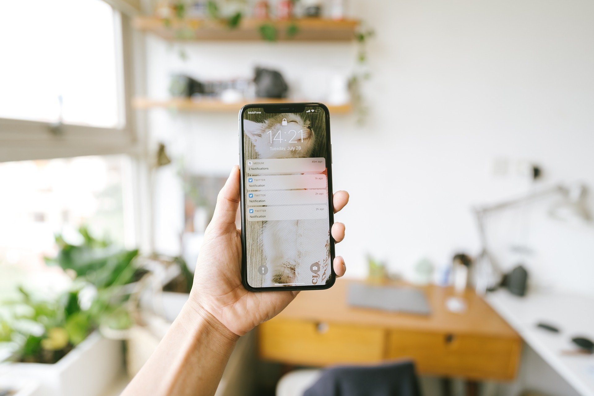 Best language learning apps