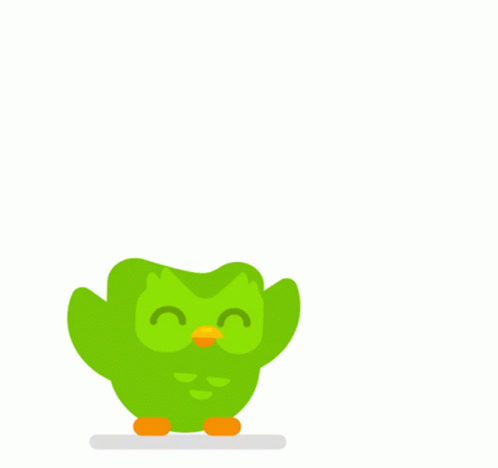 Duo the owl
