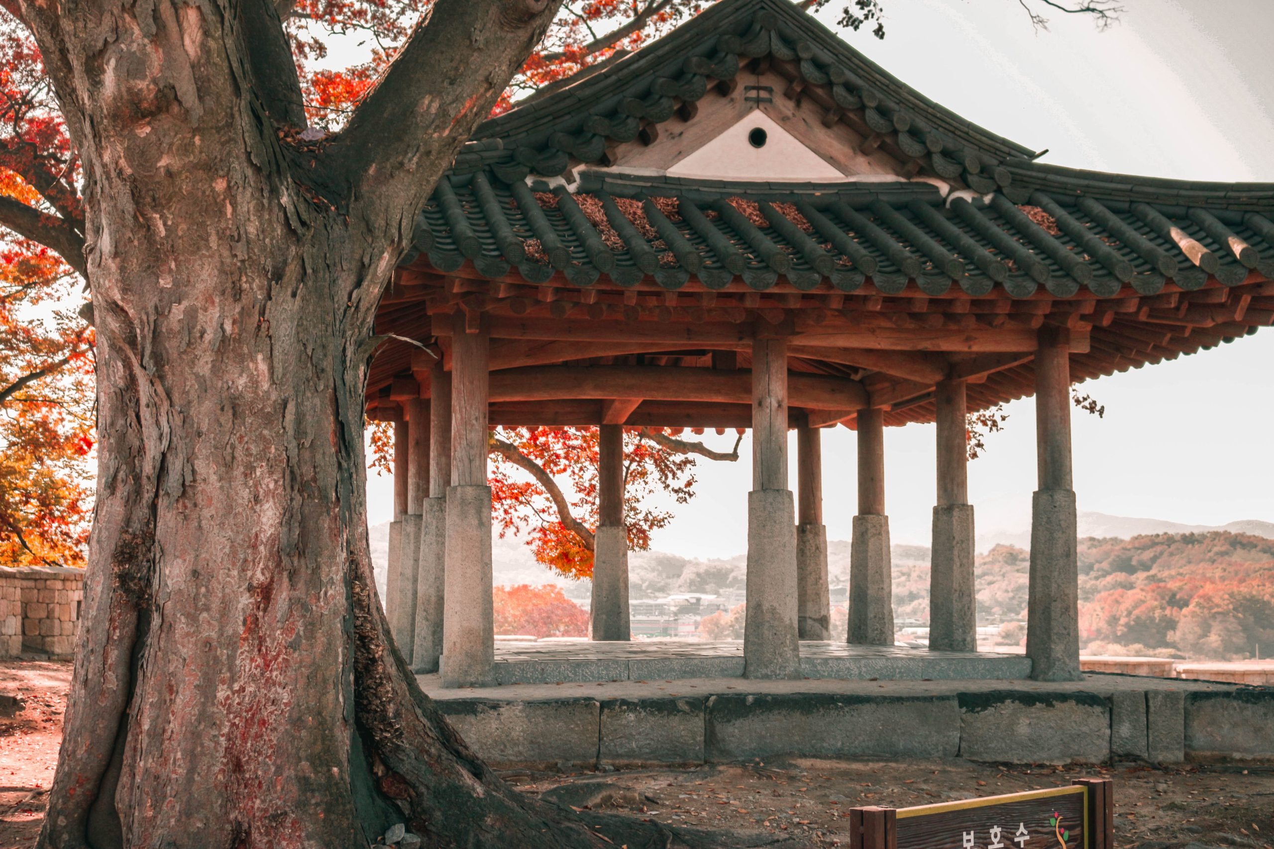 How to Say Mother in Korean